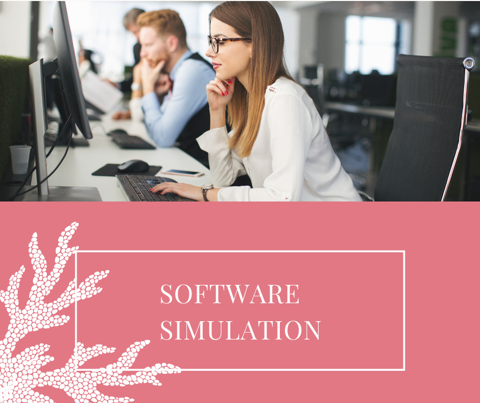 Software Simulations
